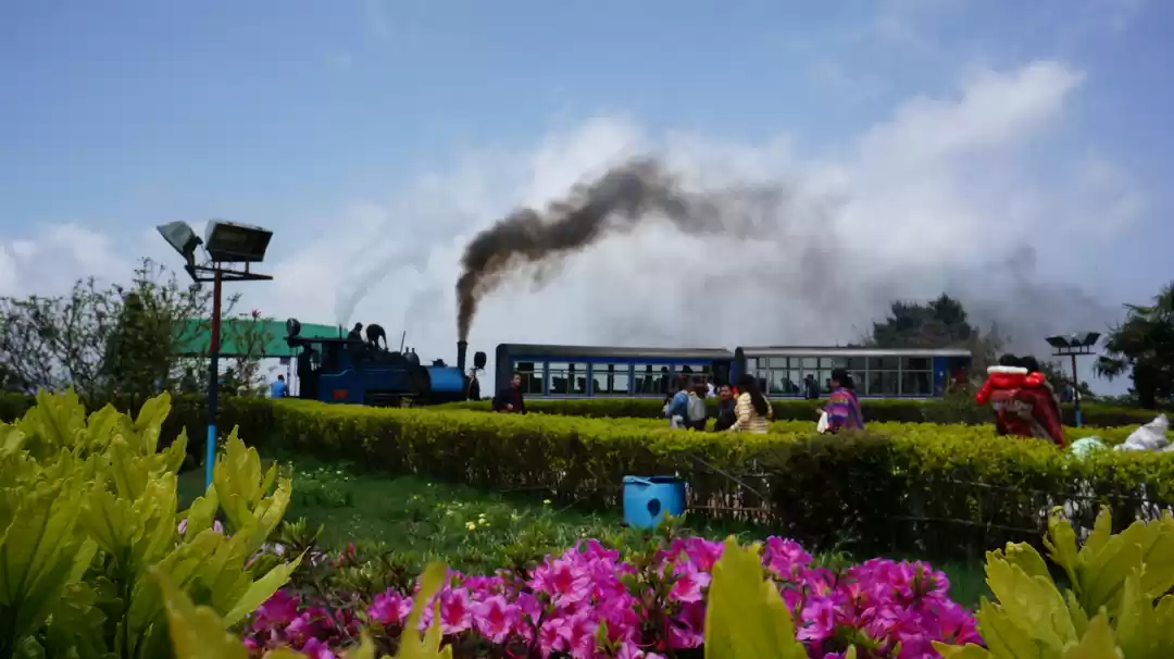 Photo of Darjeeling city tour