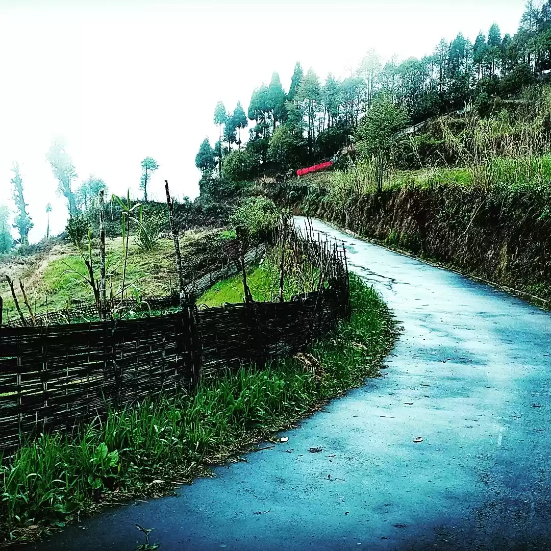 Photo of Hike to wonderland (