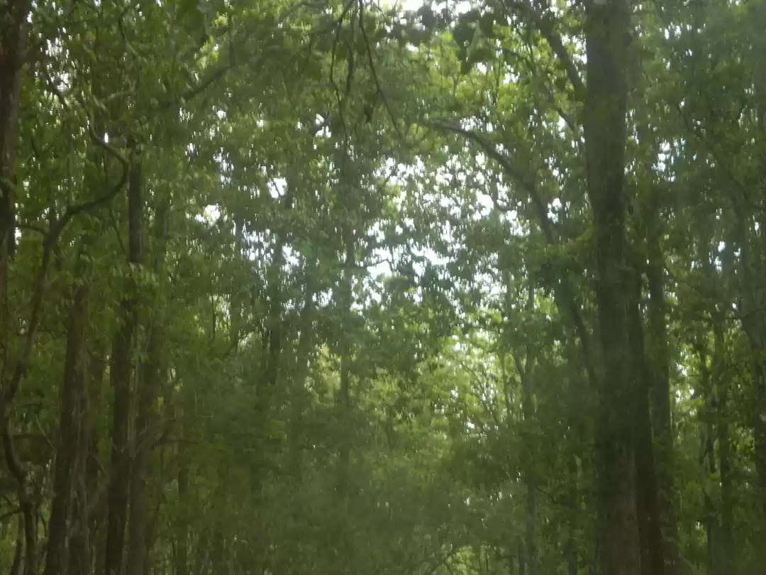 Photo of Jim Corbett National