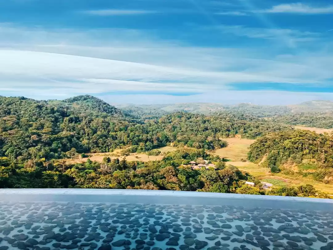 Photo of Shut the World out a