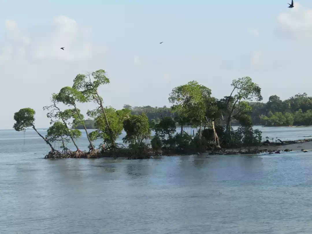 Photo of 5 days in blue heave