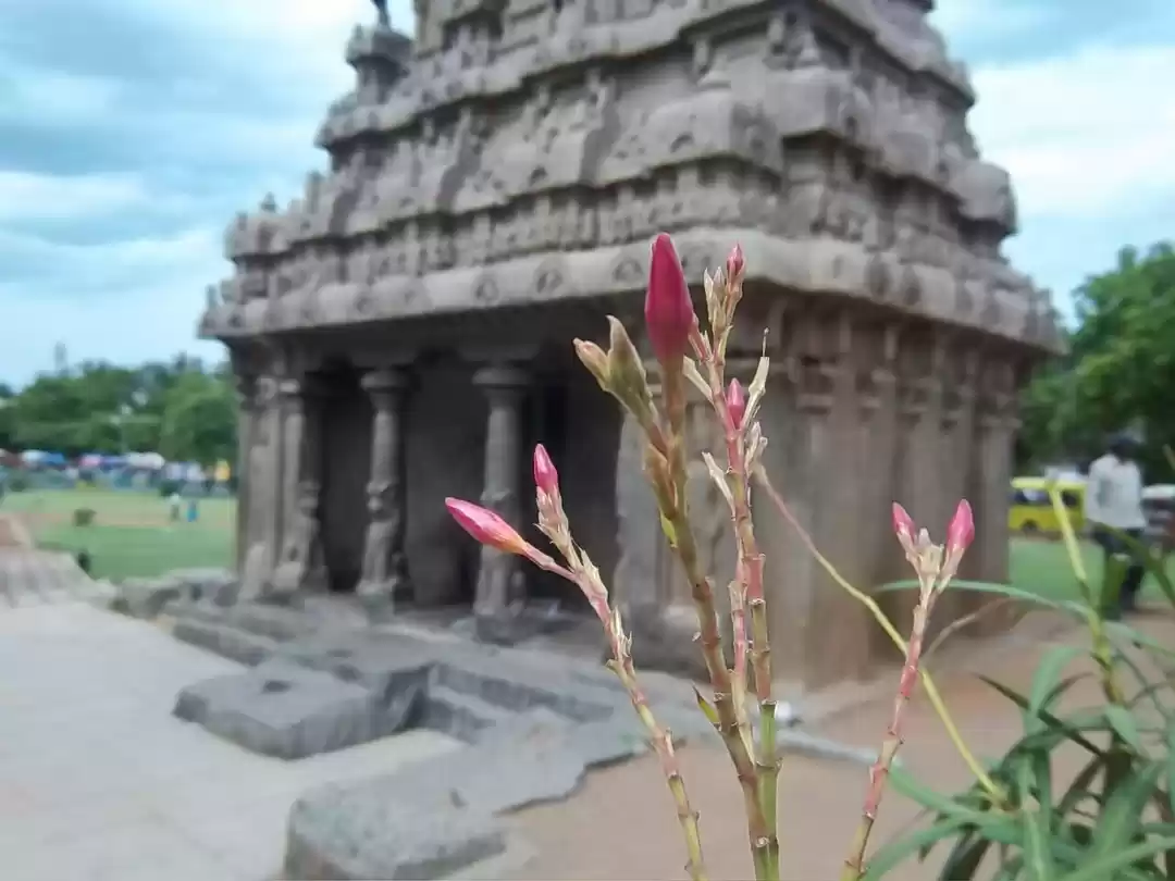 Photo of Postcards from Mahab