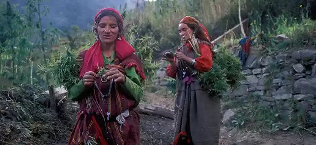 Photo of Malana – Epicenter o