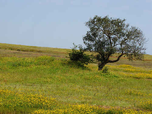 Photo of Top trekking and camping options near Pune