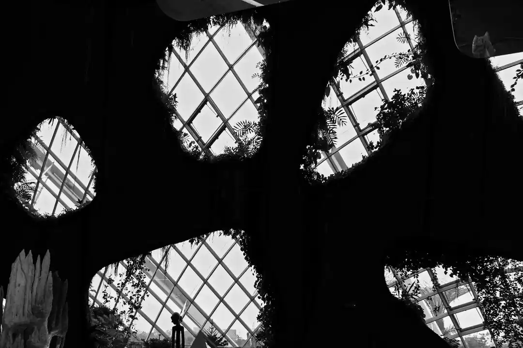 Photo of Singapore - Architec