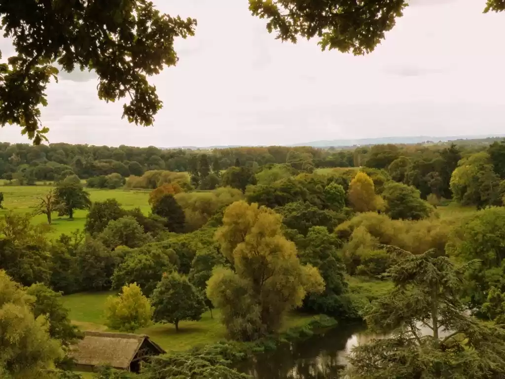 Photo of The One With The Cas