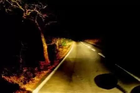 Photo of Pune to Tiger Leap (