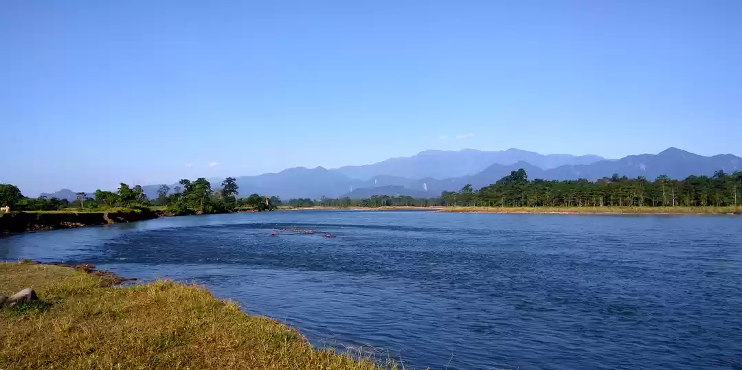 Photo of Nameri Eco Camp, Ass