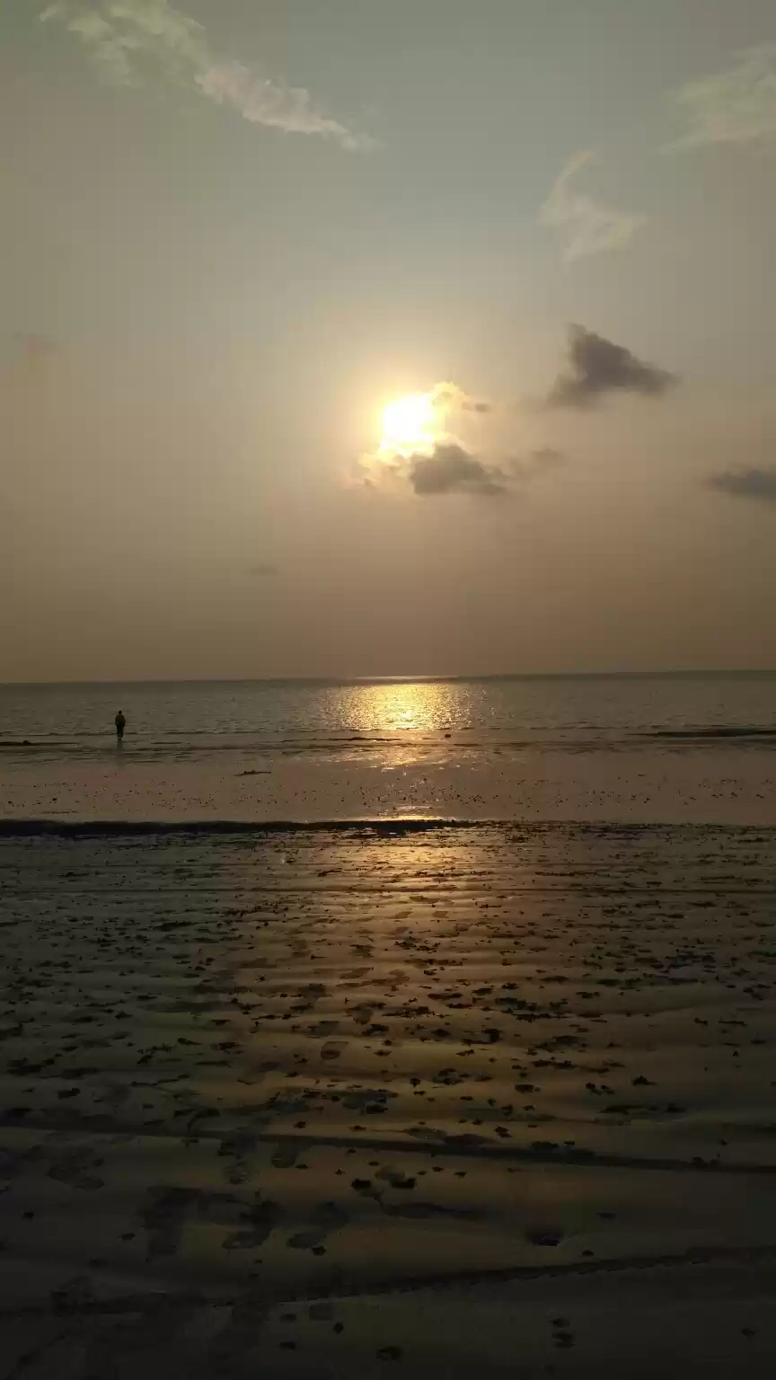 Photo of Half Day Roadtrip fr