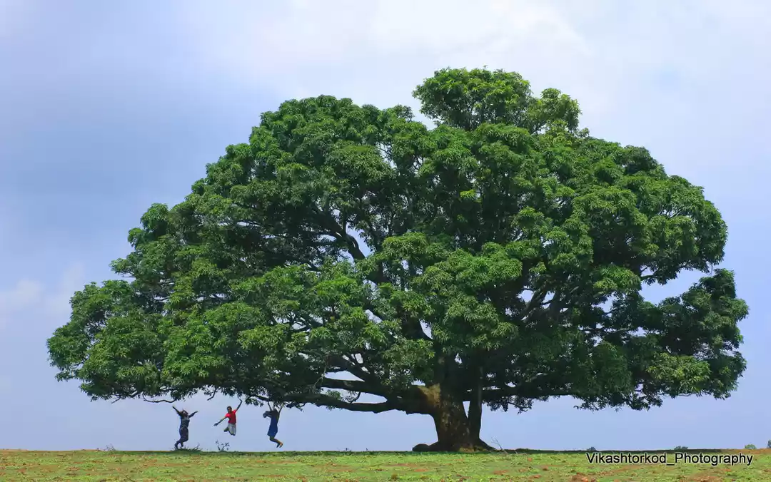 Photo of Netarhat: an untold 