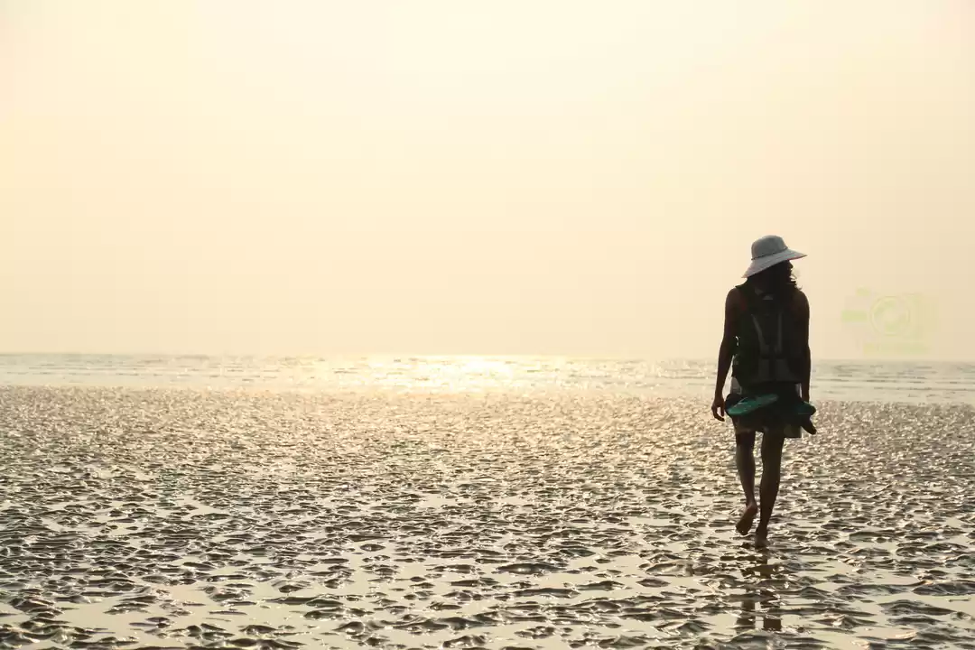 Chandipur beach hi-res stock photography and images - Alamy