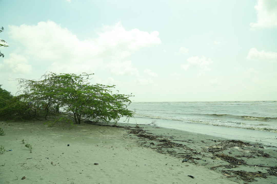 Bakkhali: The Undefined Beauty of Bakkhali Beach | Tripoto