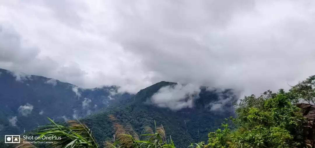 Photo of A journey to the Abo