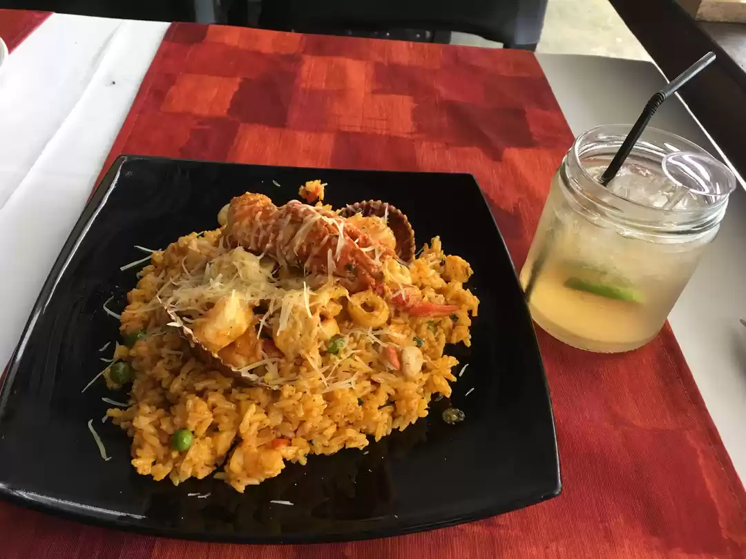 Photo of What you need to kno