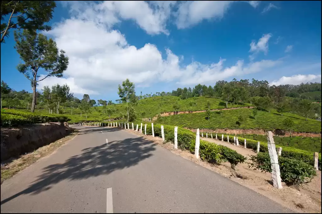 Photo of An Unplanned Road Tr