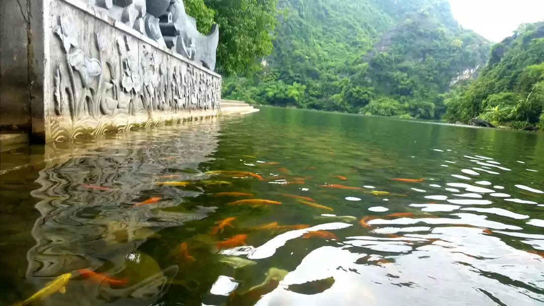 Photo of Boat tour around Kin