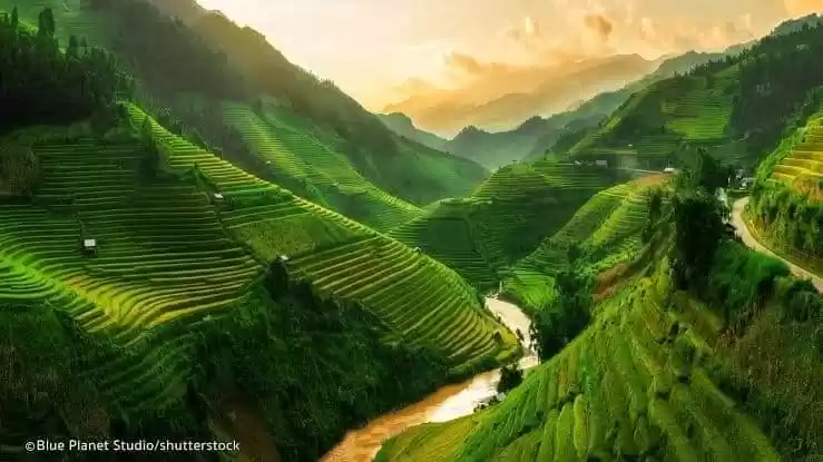 Photo of Off Beat Vietnam সাপ
