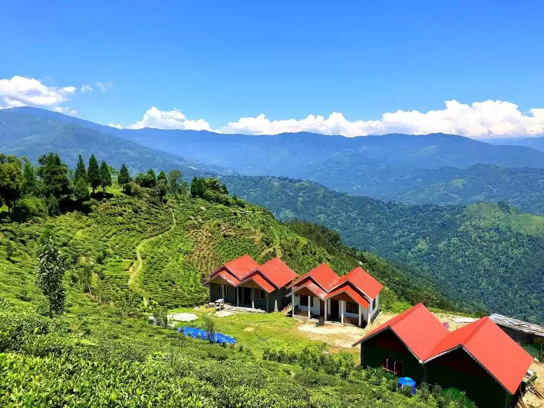 Photo of অহলদাড়া