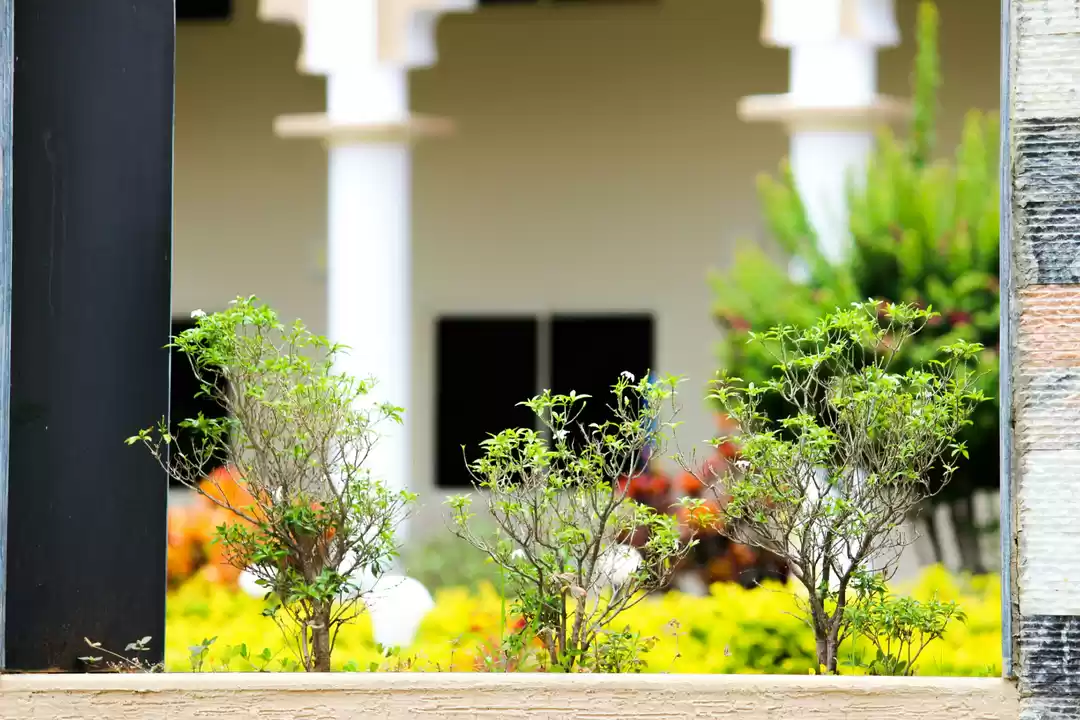 Photo of BALMURI FALLS, MYSOR