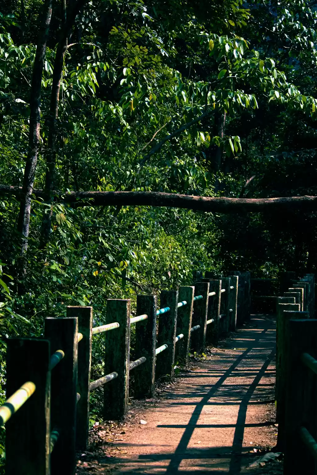 Photo of Yellapur greenlush 