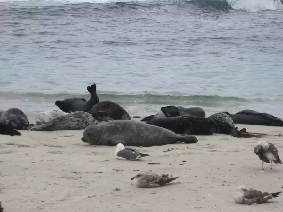 Photo of San Diego Road Trip 