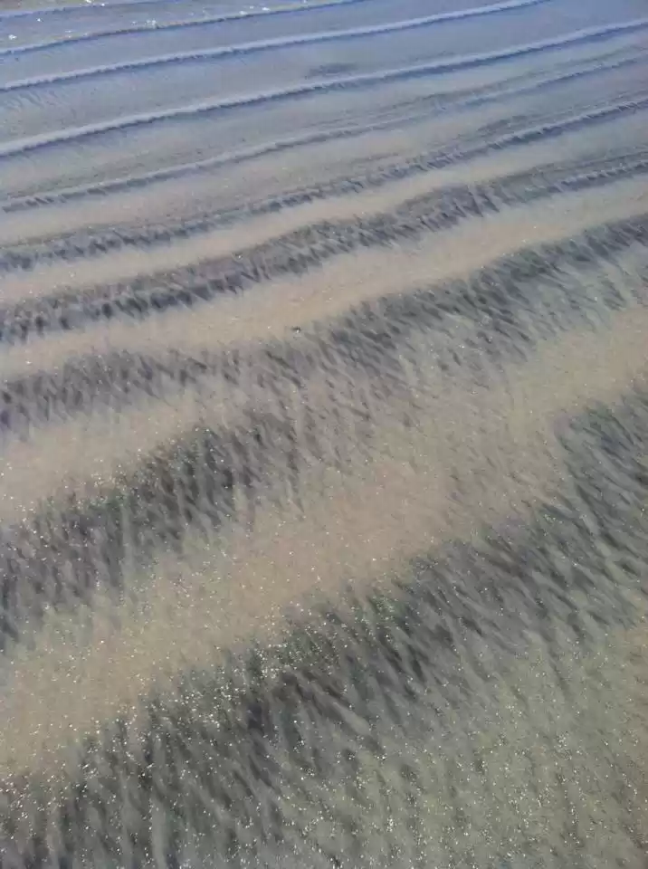 Photo of San Diego Zoo 2013