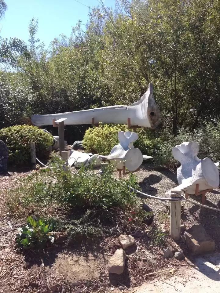 Photo of Laguna Beach & San J