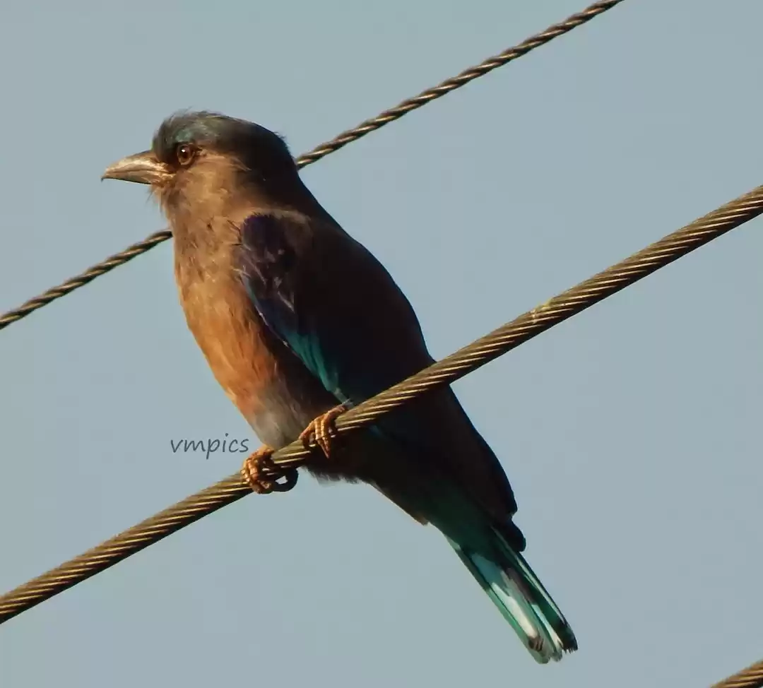 Photo of Offbeat Guwahati - R