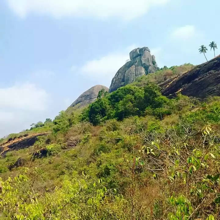 Photo of Moodabidri: Go back 