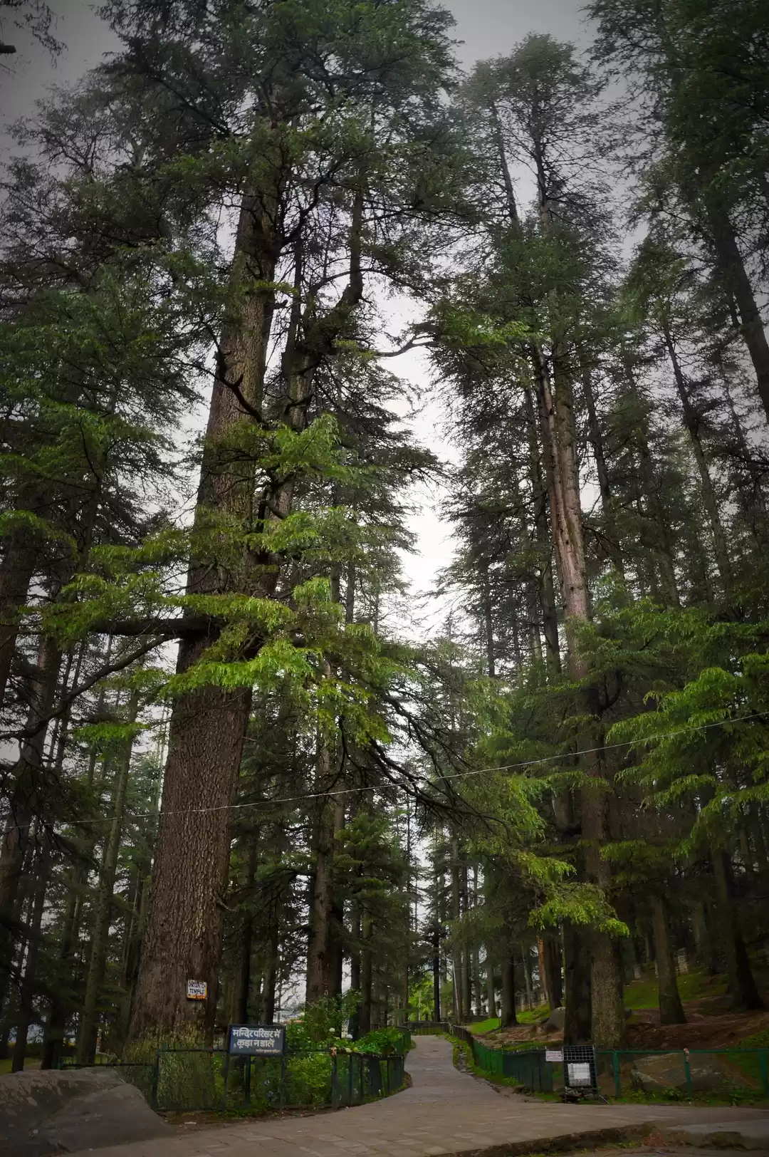 Photo of Manali & Mountaineer