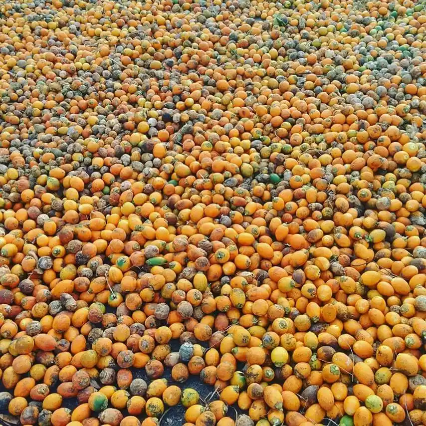 Photo of Travel... Even if yo