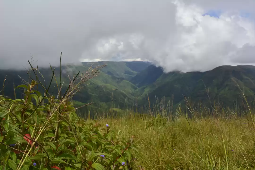 Photo of Five days itinerary 