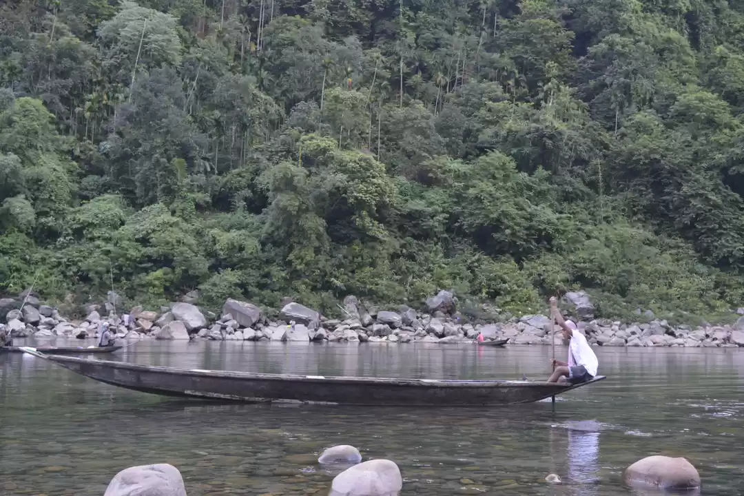 Photo of Into the wilds of Me