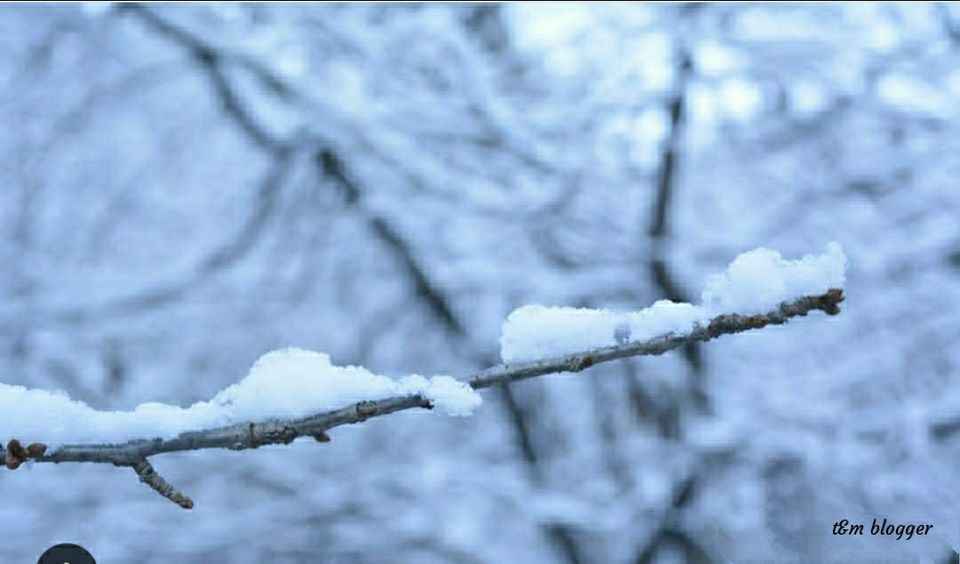 A Hidden Paradise Of Himachal For Snow Lovers Old Manali In December Tripoto