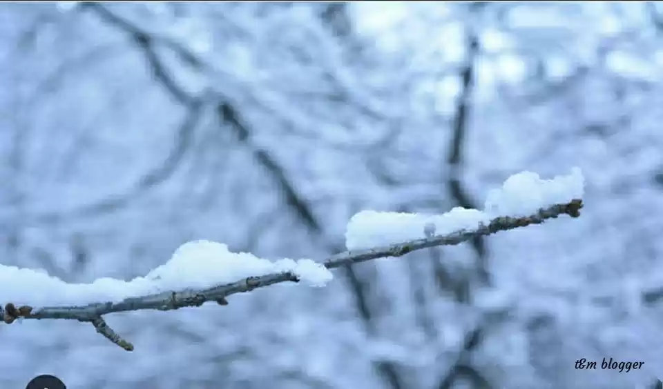 Photo of A hidden paradise of