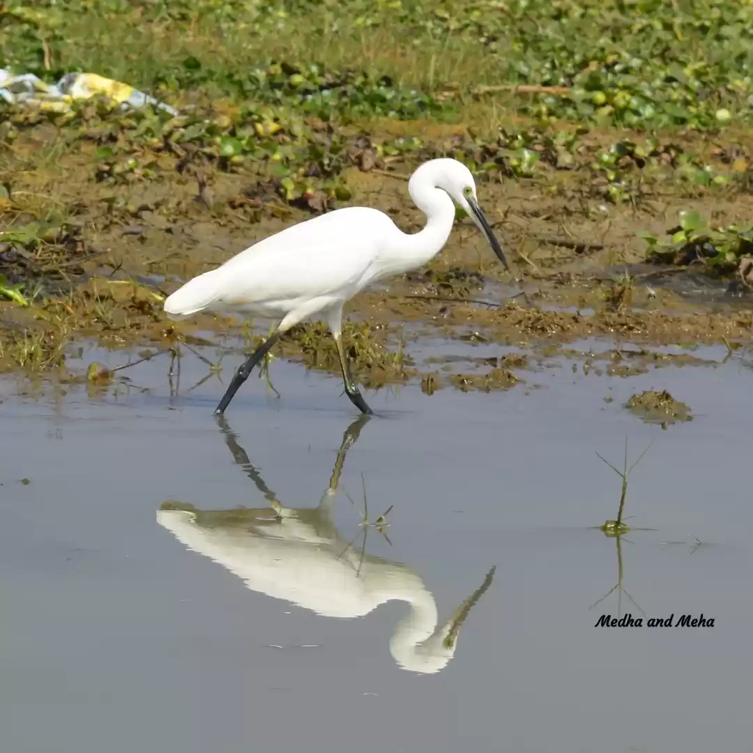 Photo of Best kept secret for