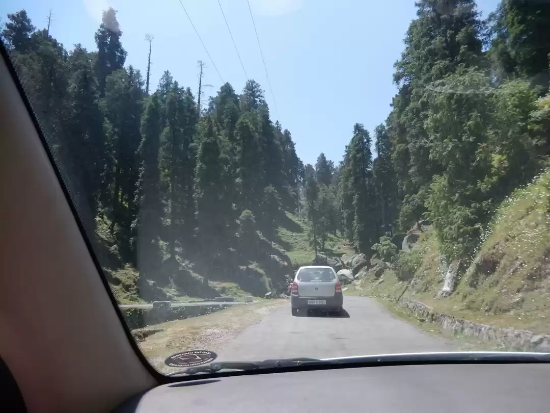 Photo of A beautiful journey 