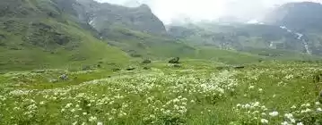 Photo of Majestic Abbott Moun