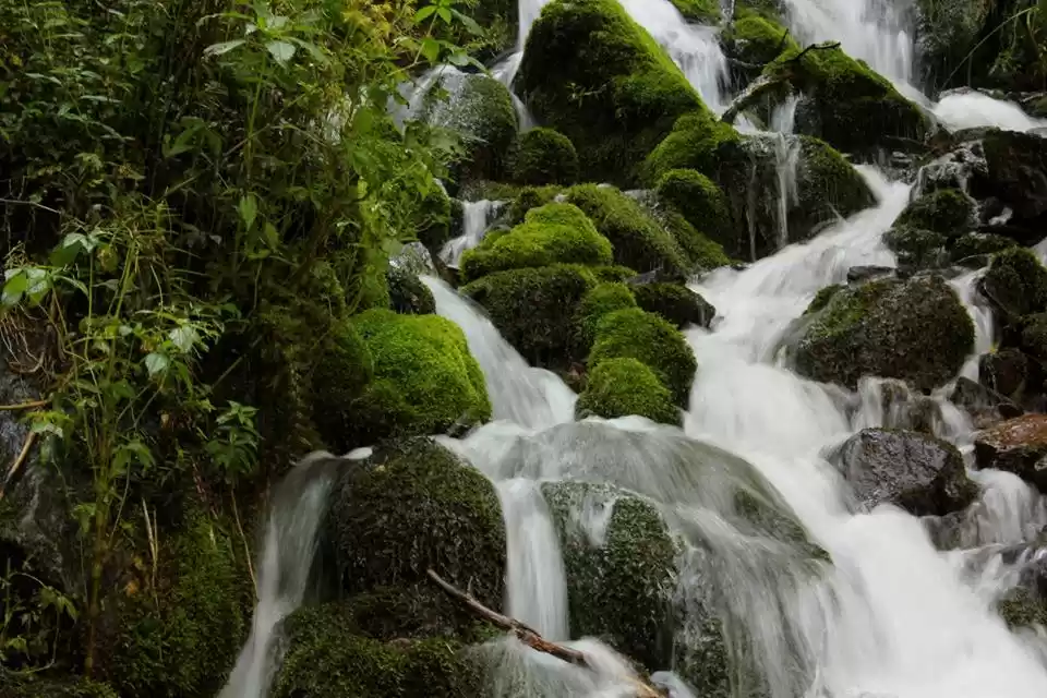 Photo of Trek to Kheer Ganga