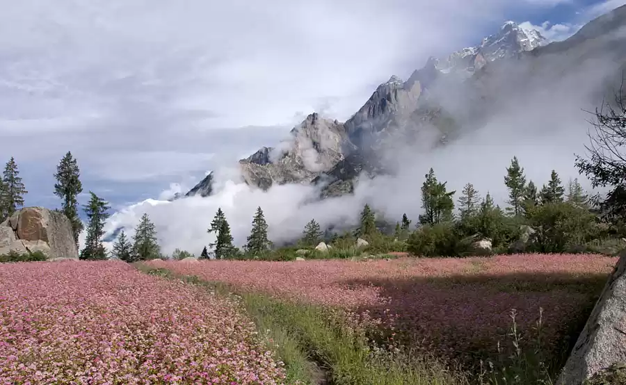 Photo of Journey to Heaven-"K