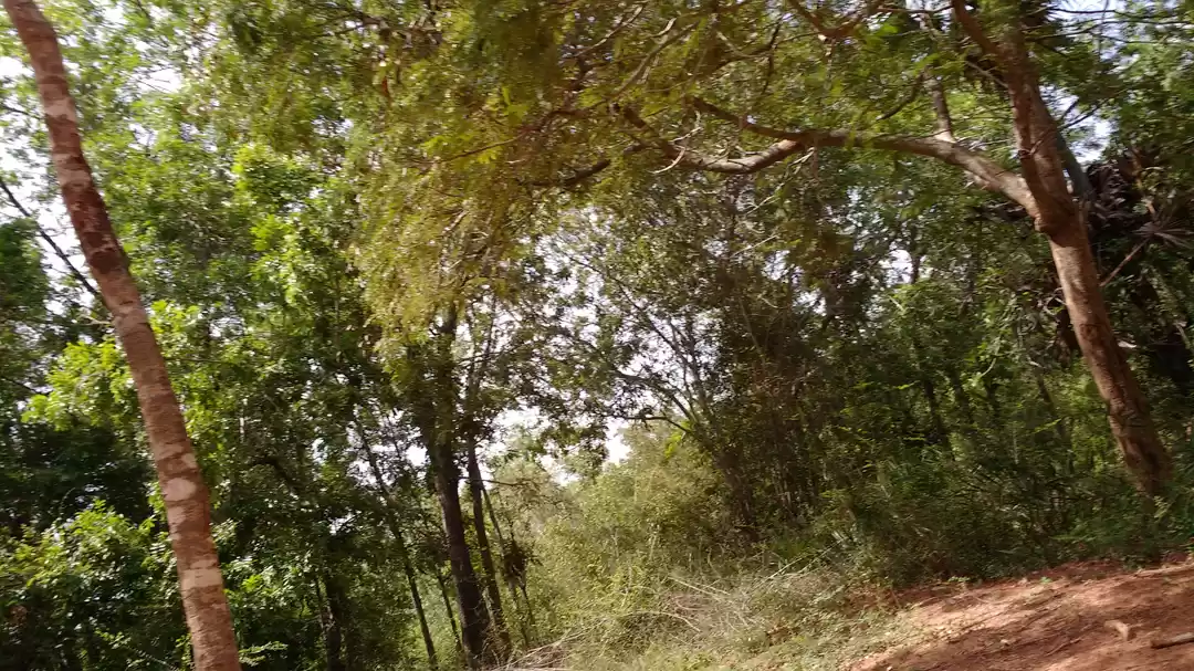 Photo of A Blissful Week in P