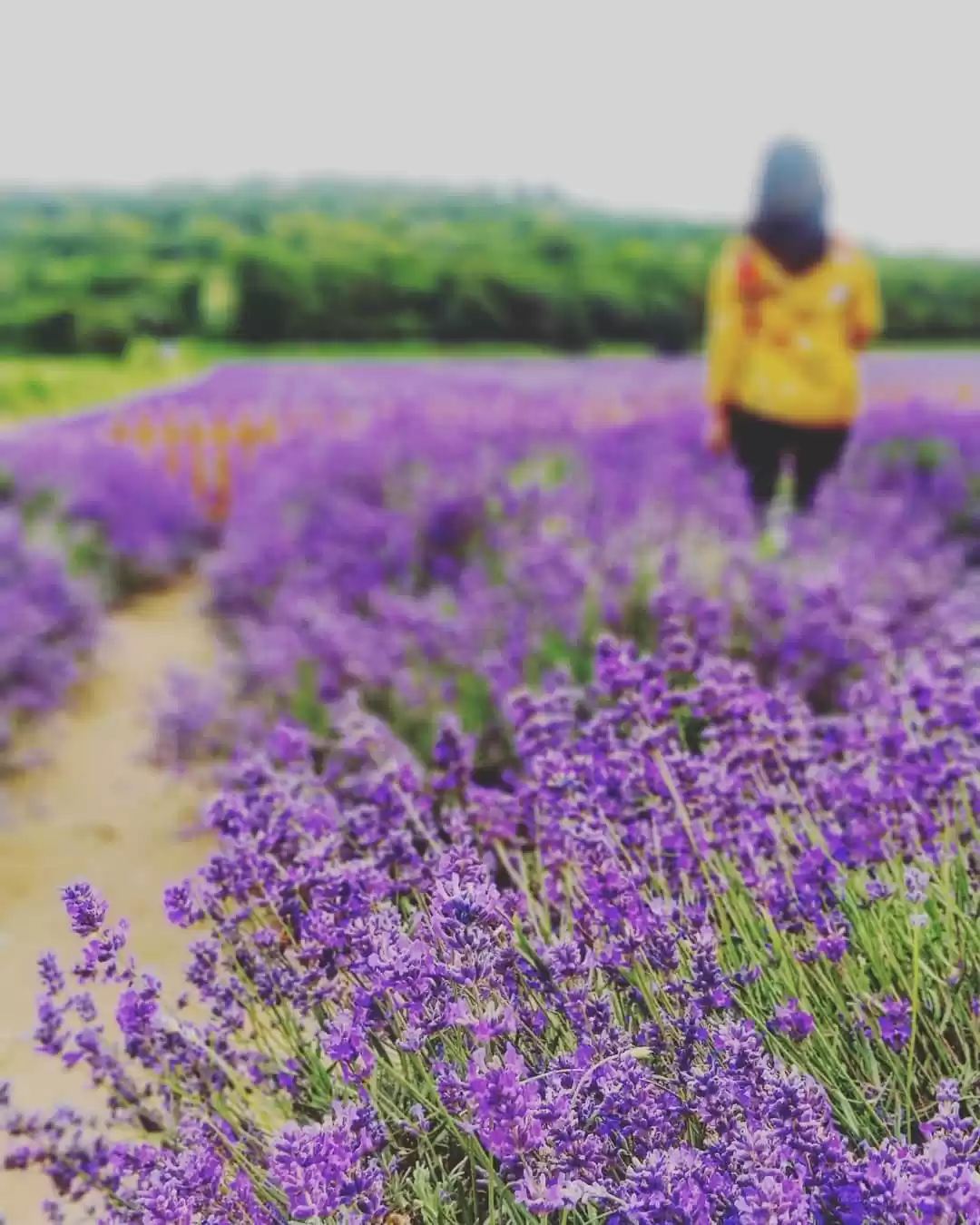 Photo of The day I was left l