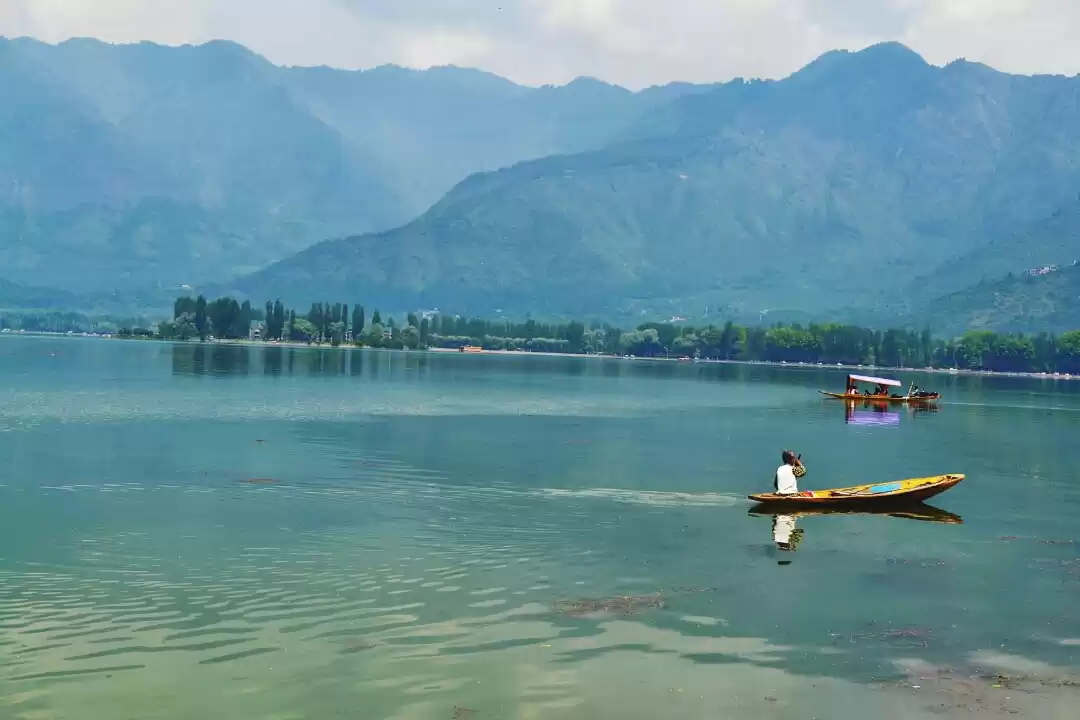 Photo of Got leh'd! !-one bik