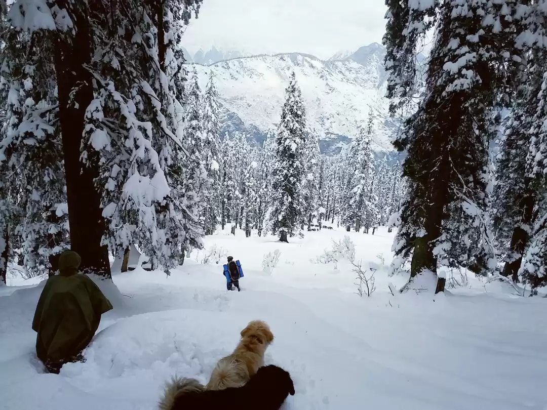 Photo of My very first trek -
