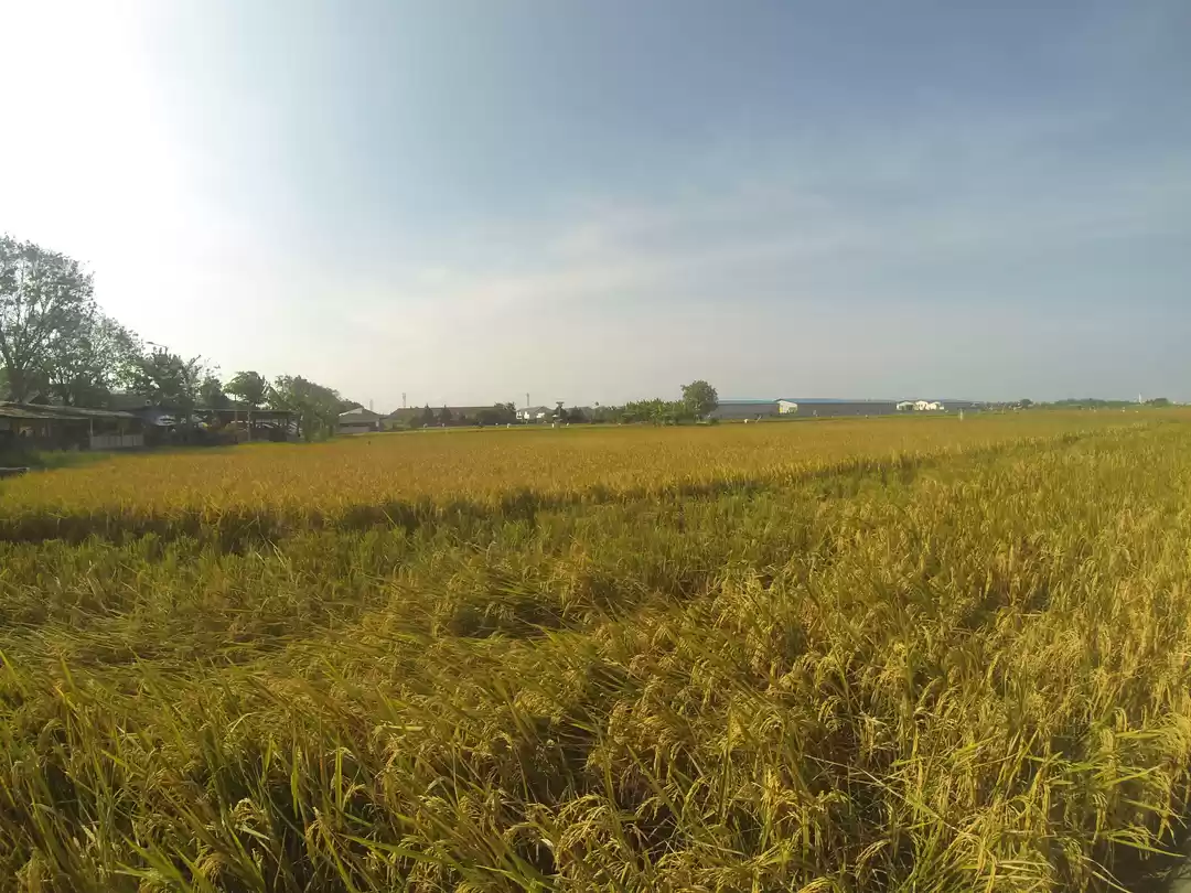 Photo of Mountain point of vi