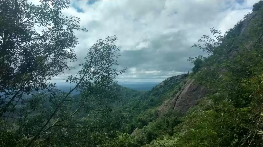 Photo of Wayanad -A trip into