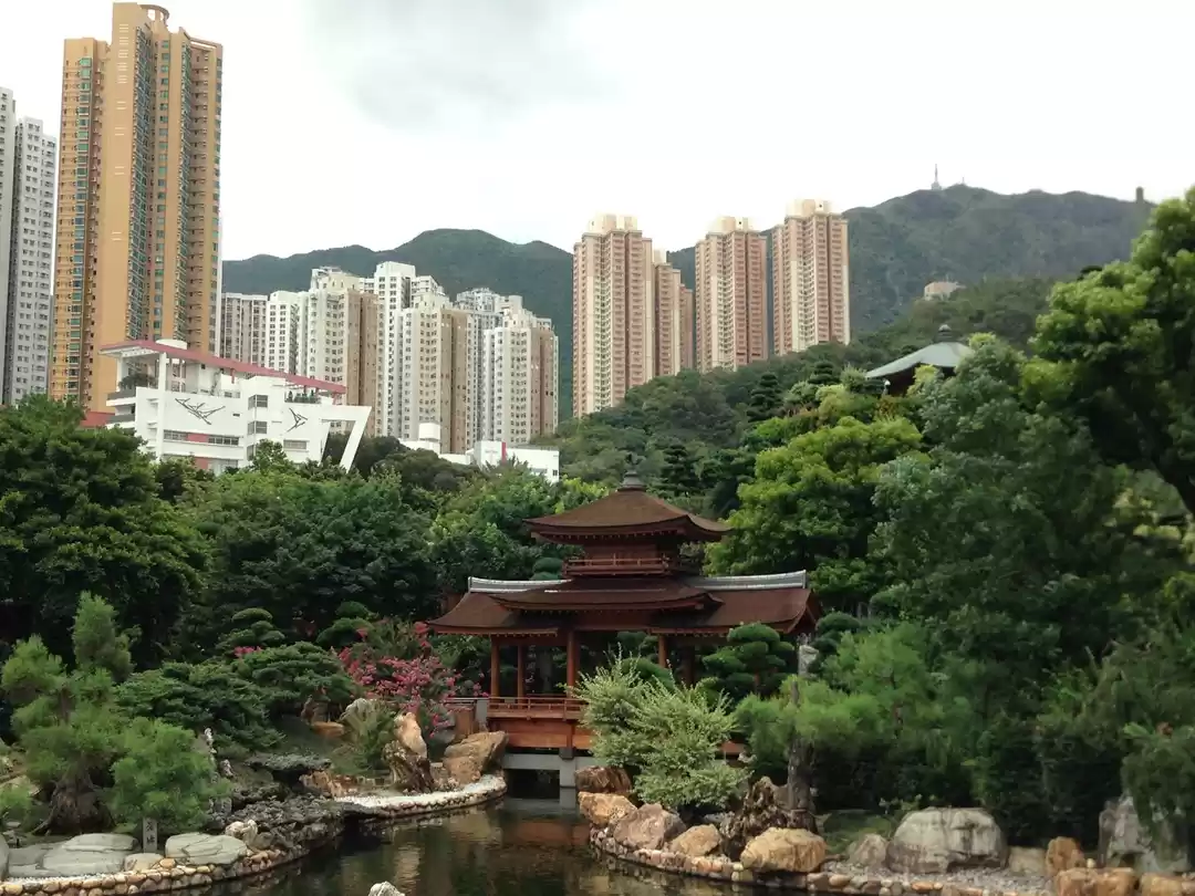 Photo of Hong Kong: Single in