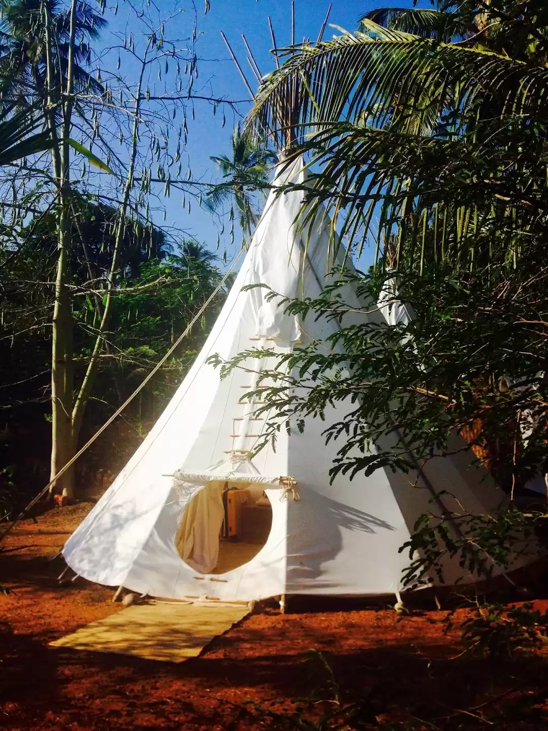 Photo of For the love of adve