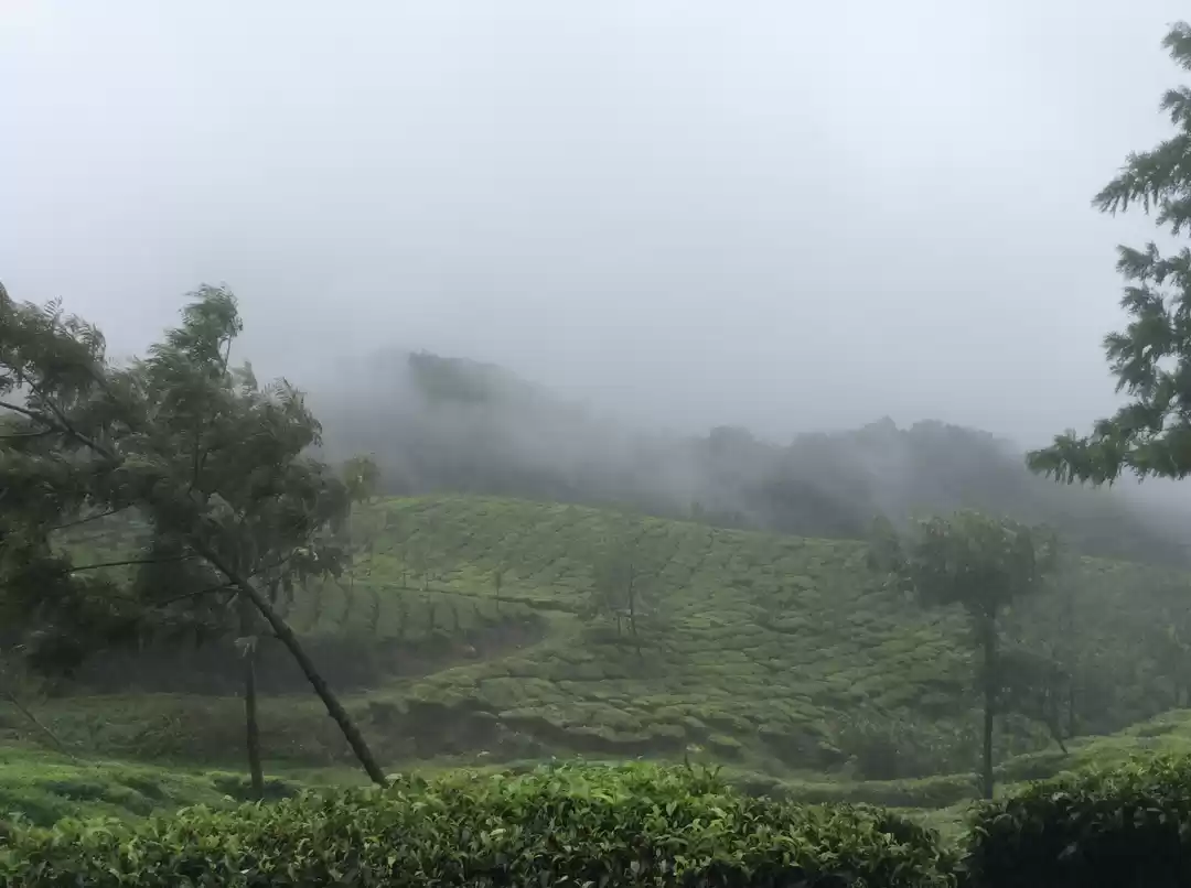 Photo of Lost down South