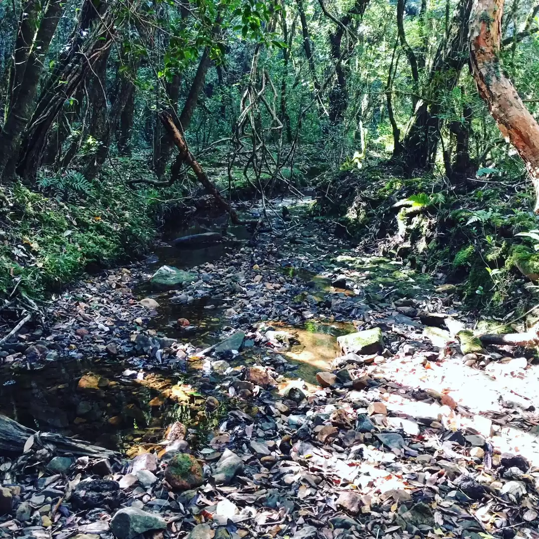 Photo of Trekking the 800-Yea